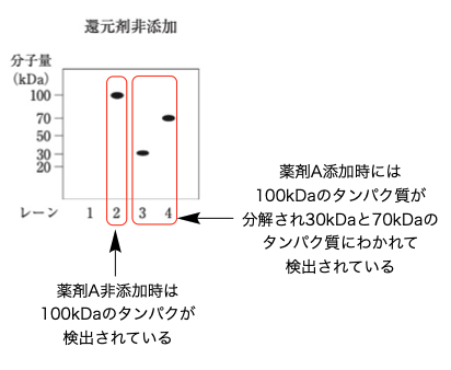 解説画像
